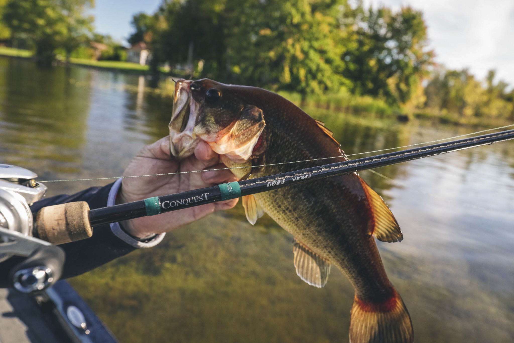 Conquest Mag Bass | G.Loomis Canada – G. Loomis Canada