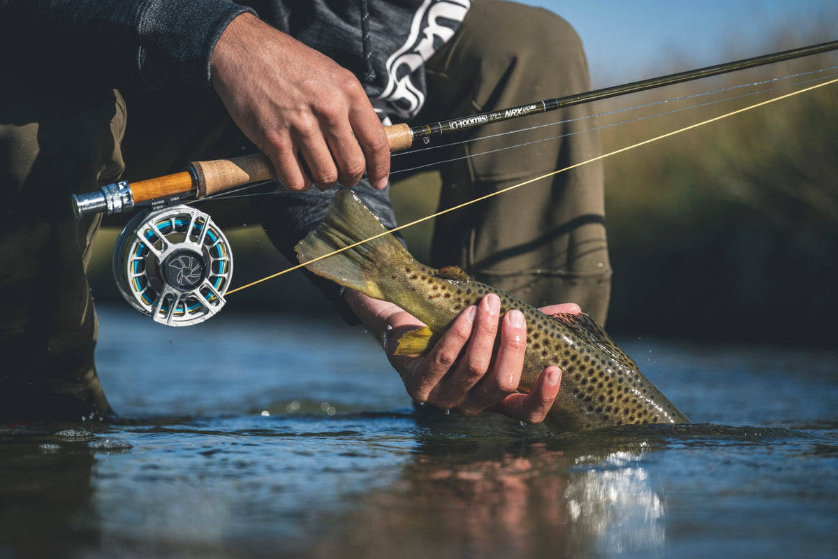 g loomis 3 piece spinning rod with reel G.Loomis GCX Native Watercraft dialing in precise actions without adding extra materialresulting in a lighter Spinning Rod G Loomis Nrx